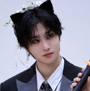 kitty hybrid omega