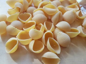 conchiglie