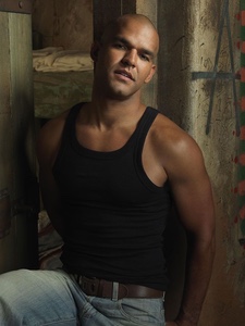 FERNANDO SUCRE