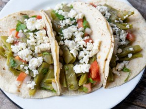 Nopal