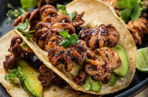 Pulpo