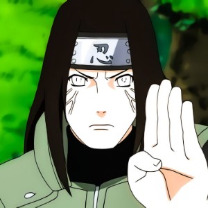 Neji Hyuga - Naruto