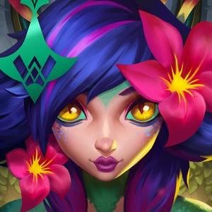 NEEKO