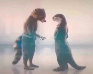 Rocket x lylla