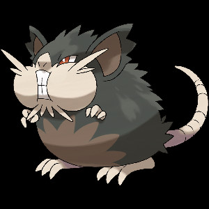 Alolan Raticate