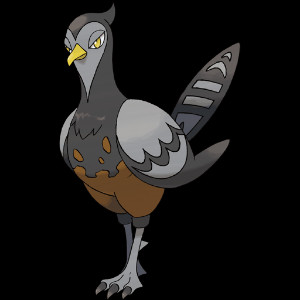 Unfezant (Female)