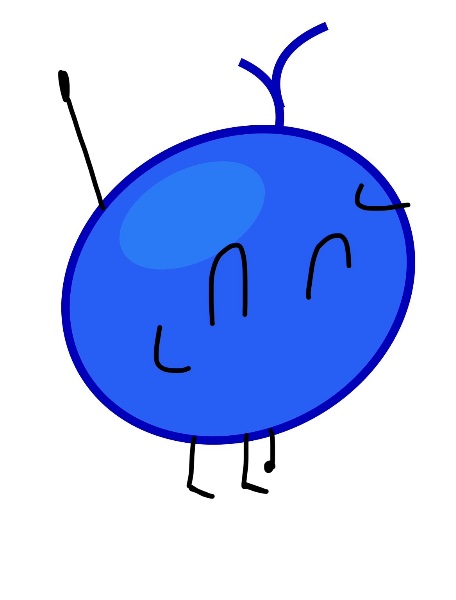 Blueberry