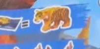 Normal Tiger (from a magazine)