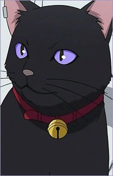 Mao - Darker than Black