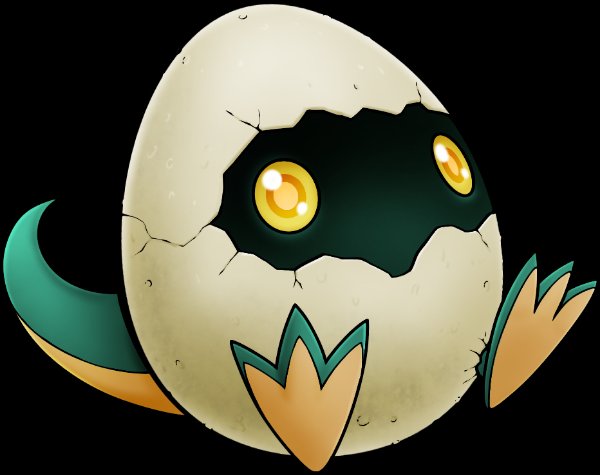 Dracchi