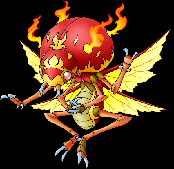 Meraphorus