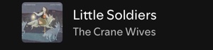 Little soldiers
