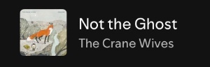 Not the ghost
