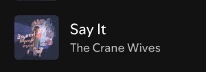 Say it
