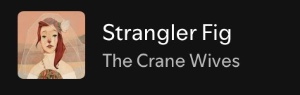 Strangler fig