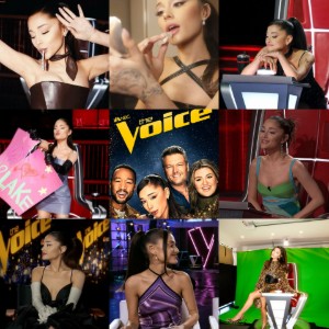 the voice