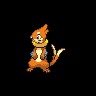 Buizel