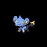 Shinx