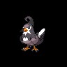 Staravia