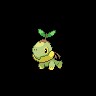 Turtwig