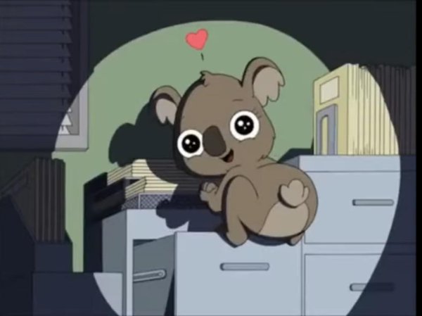 Reginald the Koala