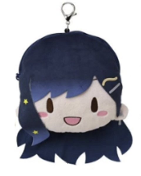 head pouch