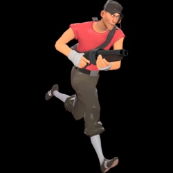 Scout