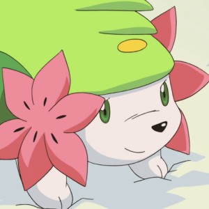 Shaymin (M11)