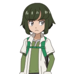 Sorrel