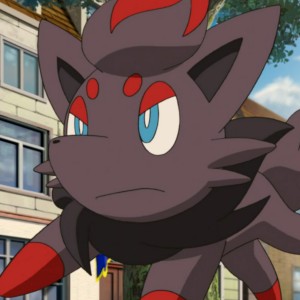 Zorua (M13)