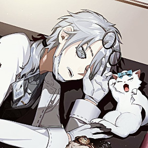 Gatto