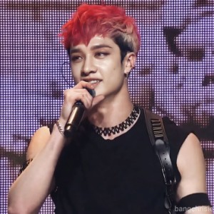 Angry bird hair