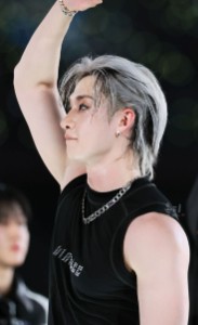 Long straight silver mullet