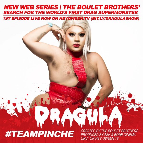 PincheTBBD1Promo
