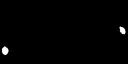 BaldisBus_Empty_LightGuide