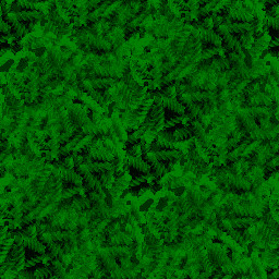 Grass