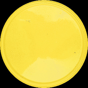 RotoHallFloor