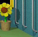 Tubes