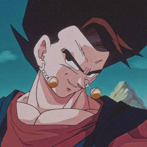 Vegetto