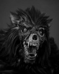 Louis lobo zumbi