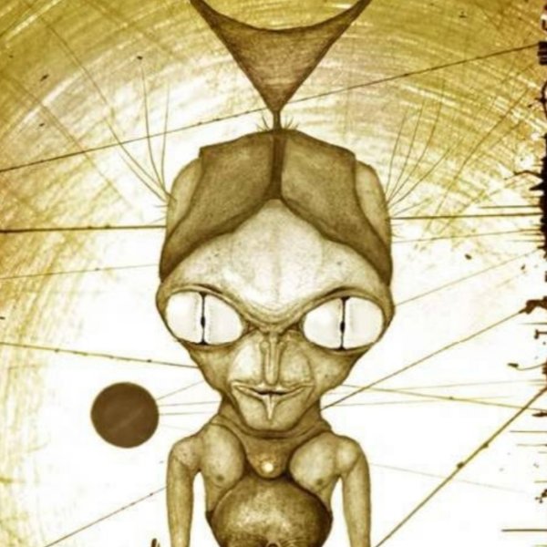 Asteromorphs