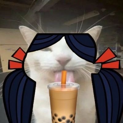 kitty