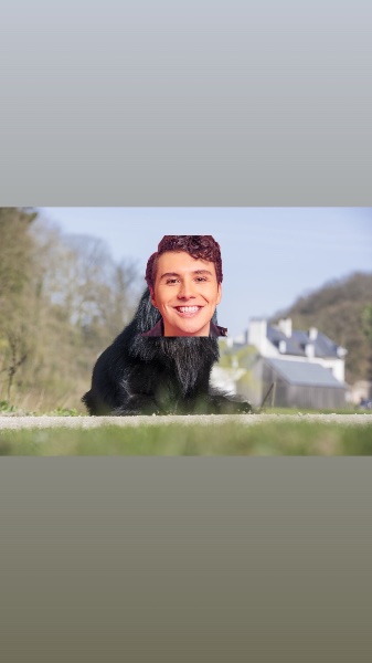 Dan The Dog