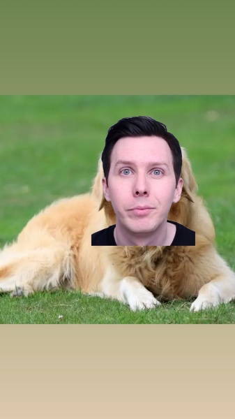 Phil The Dog