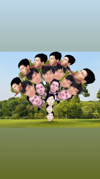 Phil Tree