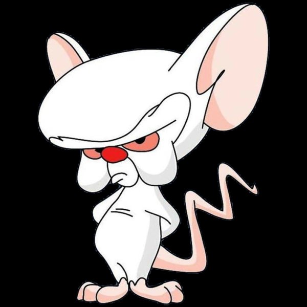 Brain