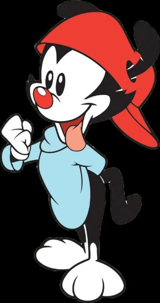 Wakko