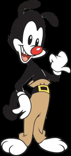 Yakko