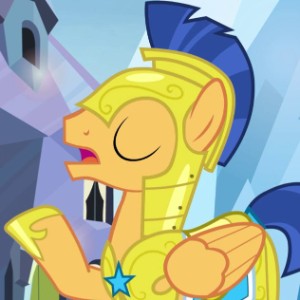 Flash Sentry
