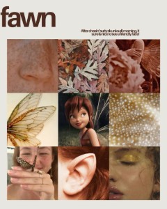 fawn